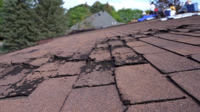 Best Tile Roofing Installation  in Captain Cook, HI